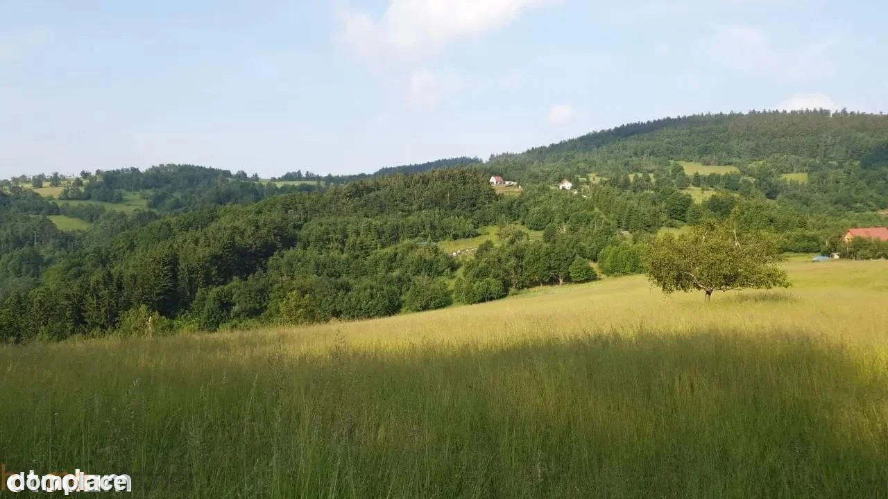 Działka — wałbrzyski, Walim — zdjęcie 10