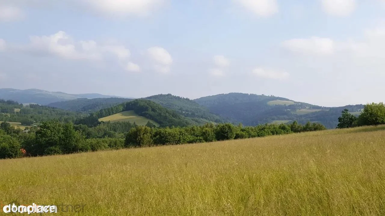 Działka — wałbrzyski, Walim — zdjęcie 12
