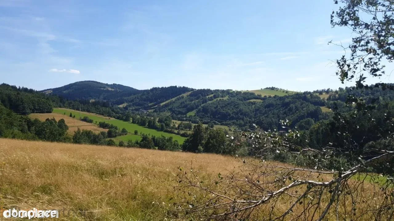 Działka — wałbrzyski, Walim — zdjęcie 8