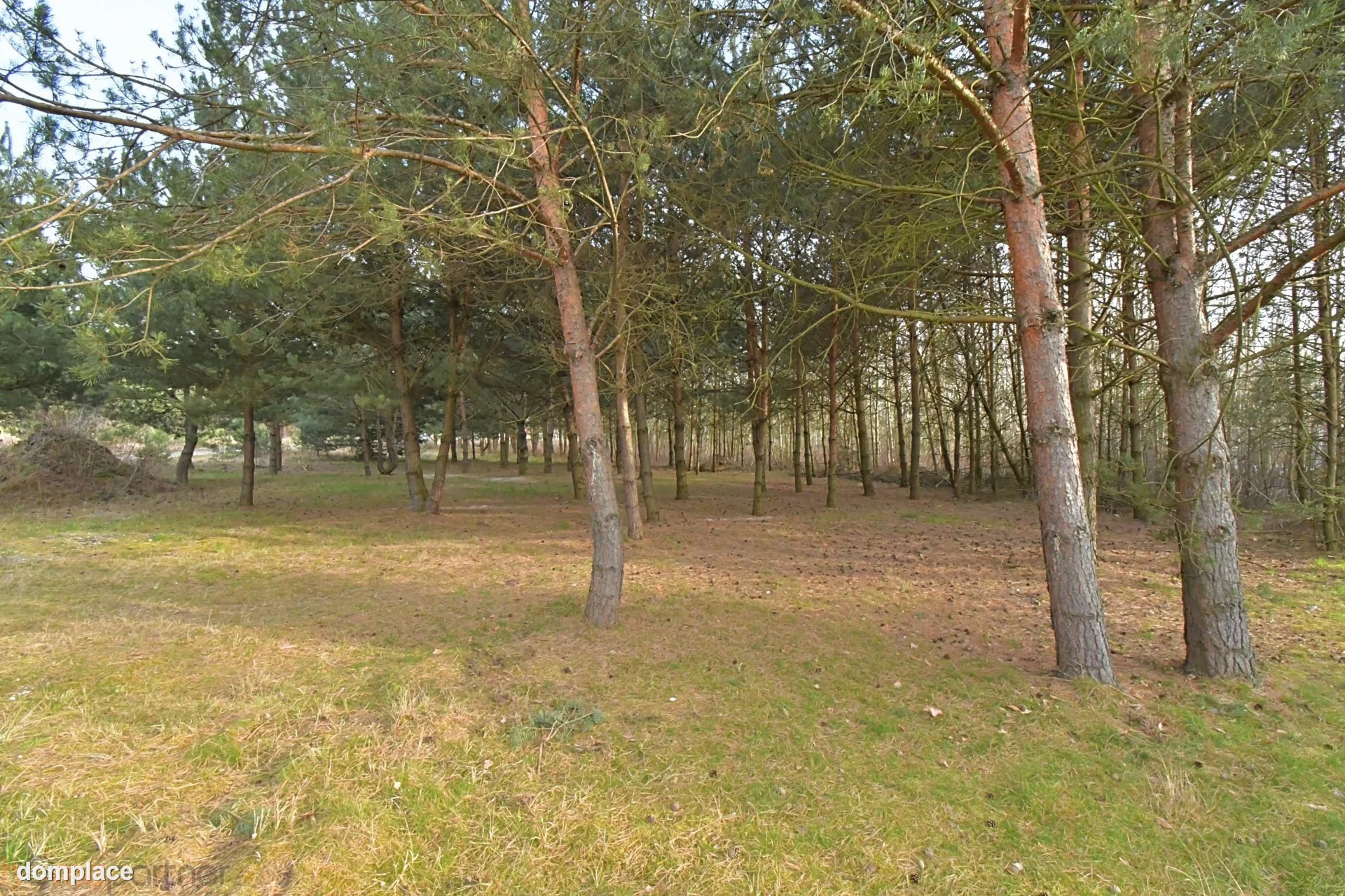 Działka — oławski, Jelcz-Laskowice — zdjęcie 4