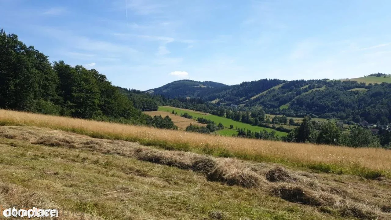 Działka — wałbrzyski, Walim — zdjęcie 13