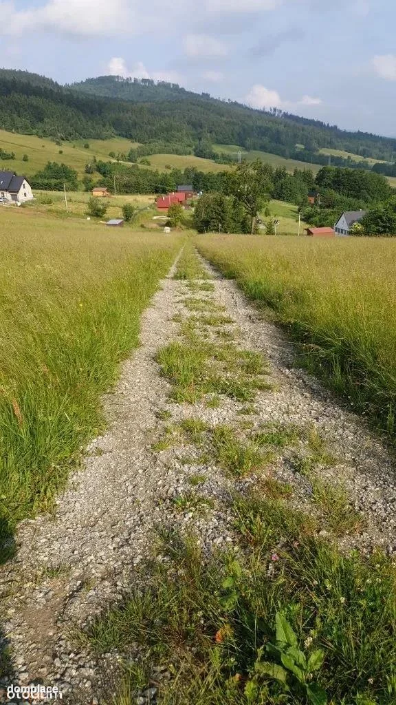 Działka — wałbrzyski, Walim — zdjęcie 9