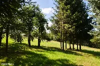 Działka pod zabudowę jednorodzinną Matysówka — zdjęcie 2