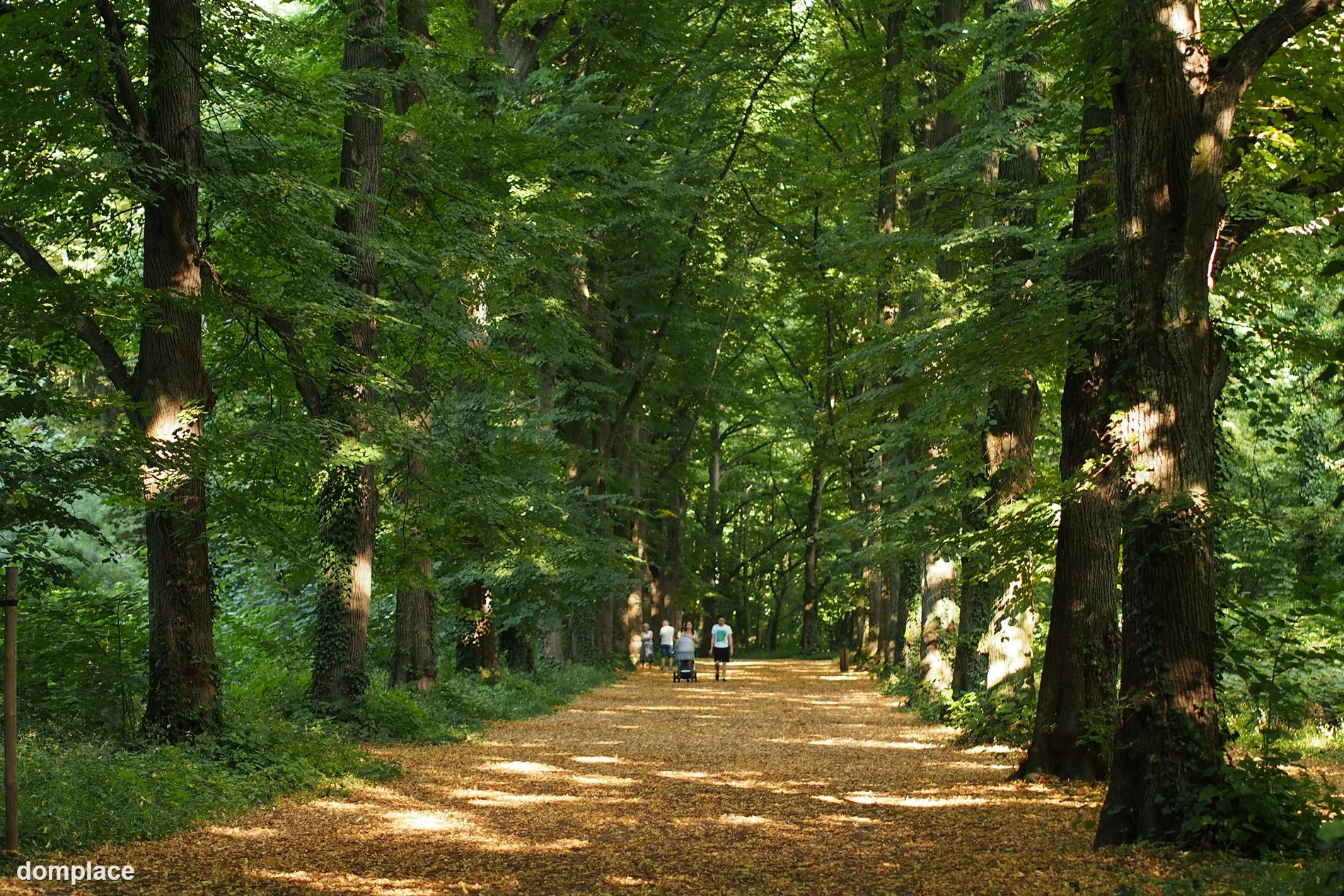 Zamiana mieszkania na dom – Wrocław