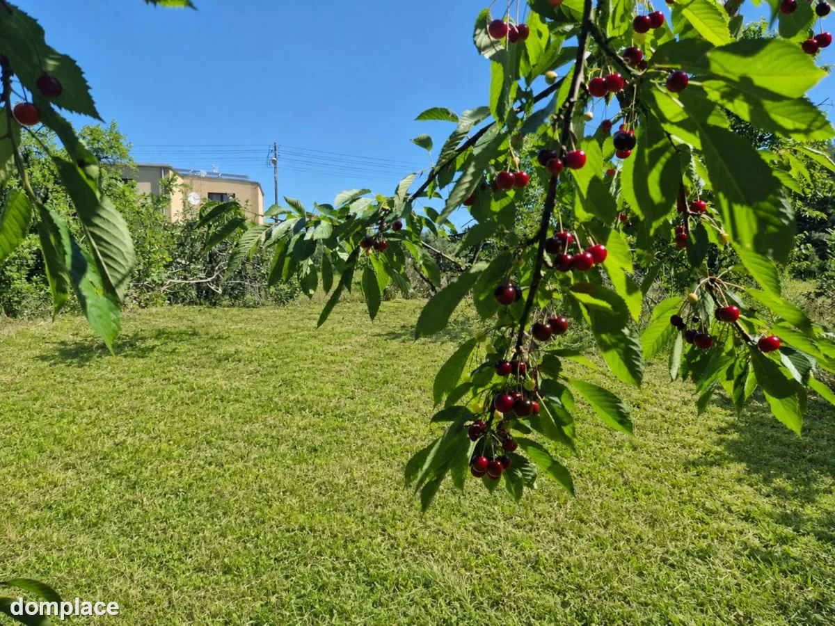 Działka (Budowlana) — zdjęcie 3