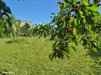 3. Ogrodzona działka z WZ pod dom i garaż |. — zdjęcie 3