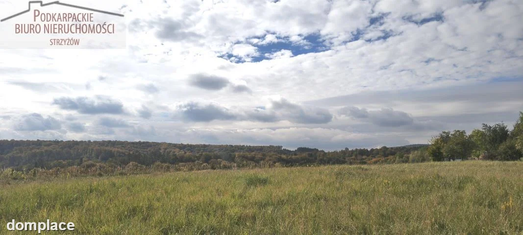 Działka — strzyżowski, Frysztak — zdjęcie 12