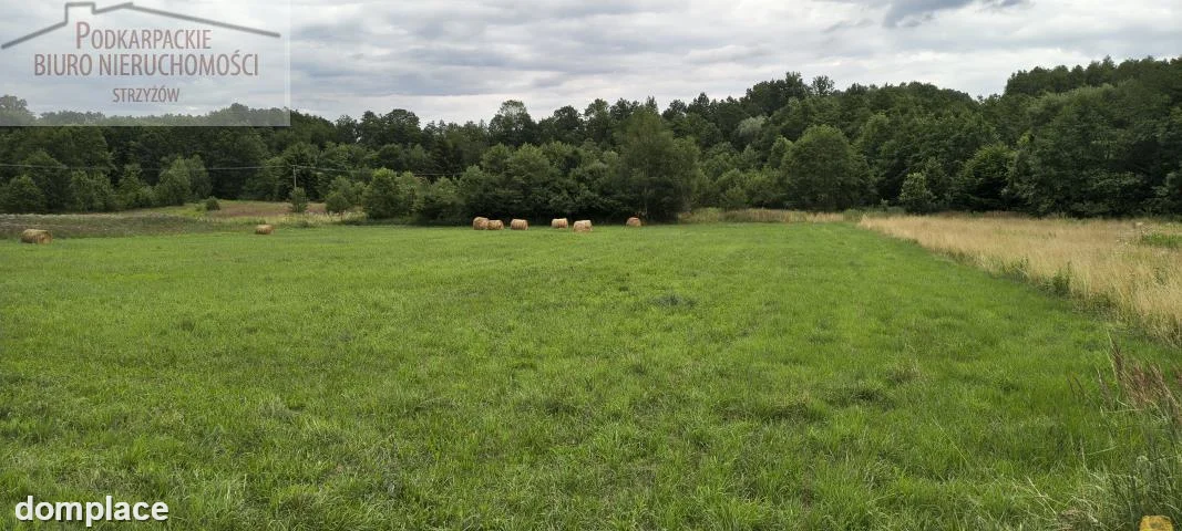 Działka — strzyżowski, Strzyżów