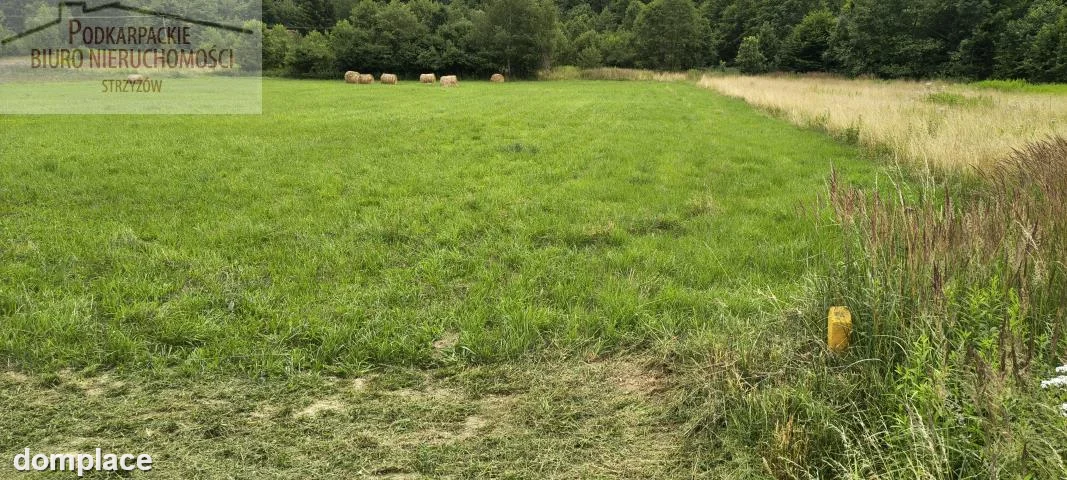 Działka — strzyżowski, Strzyżów — zdjęcie 2