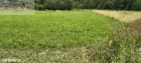 Działka — strzyżowski, Strzyżów — zdjęcie 2