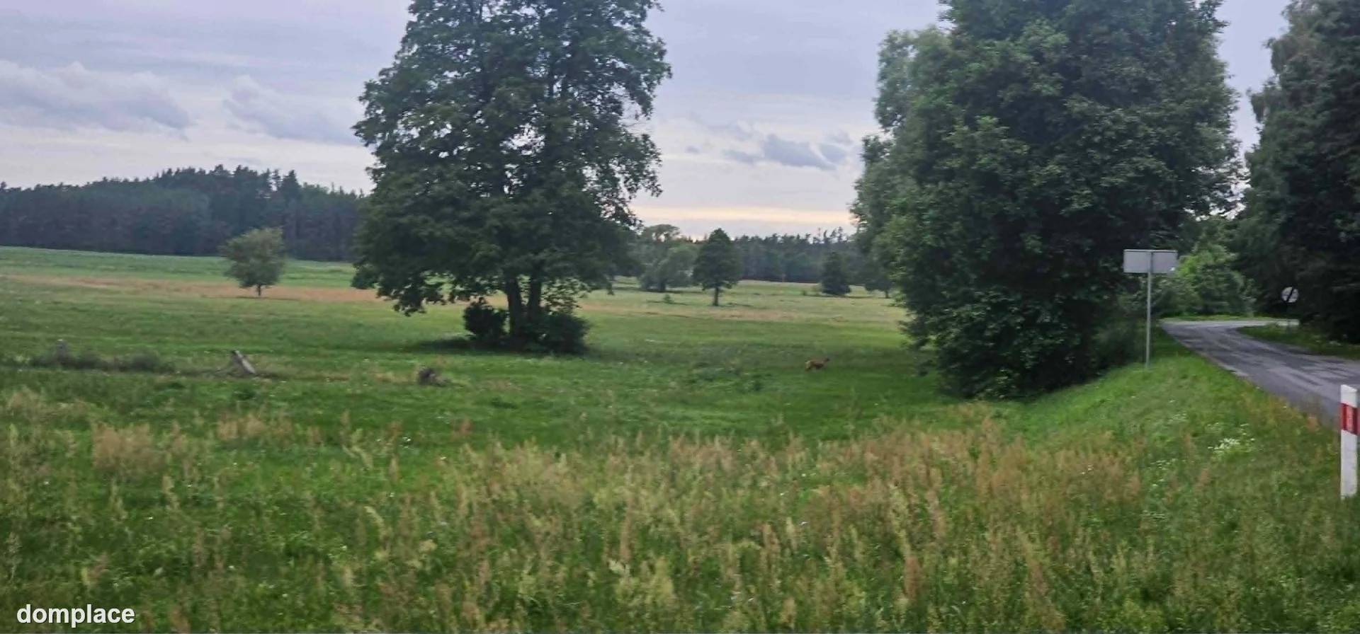 Działka — ostrołęcki, Kadzidło — zdjęcie 5
