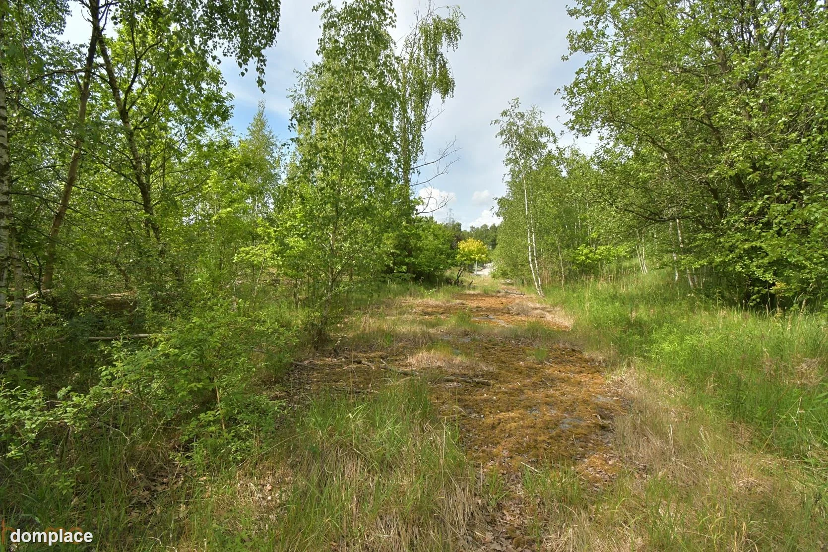 Działka — wałbrzyski, Wałbrzych — zdjęcie 11