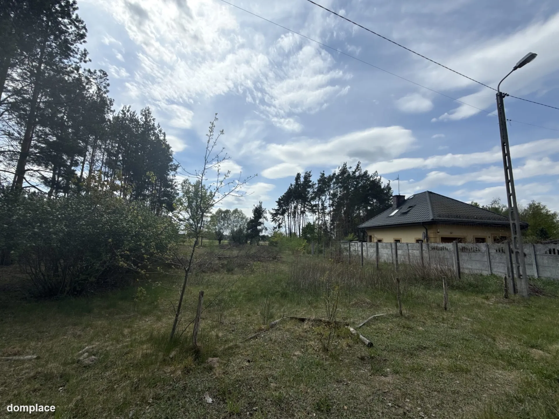 Siedlisko nad rzeką 50 km od Warszawy — zdjęcie 4