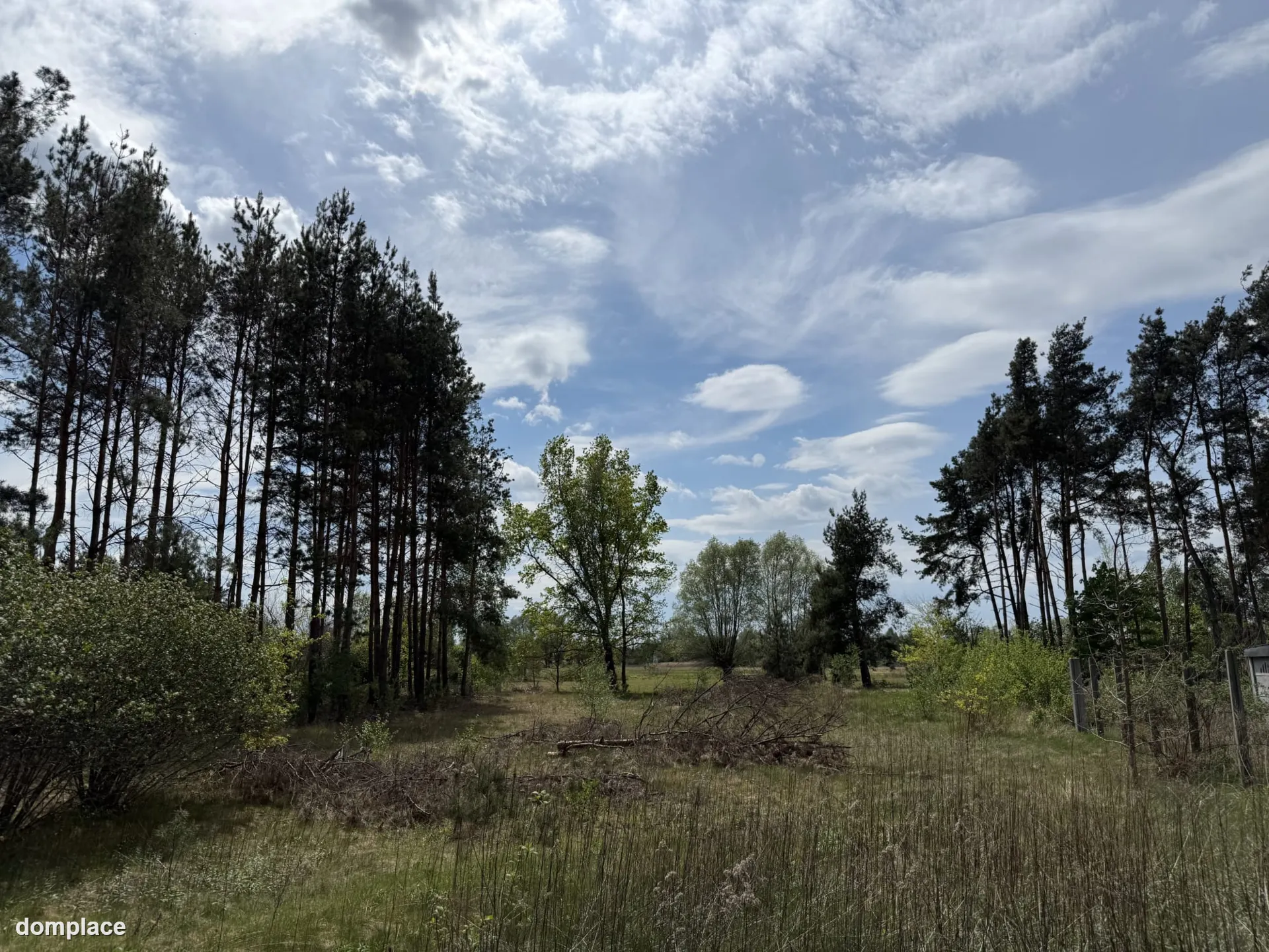 Siedlisko nad rzeką 50 km od Warszawy — zdjęcie 5