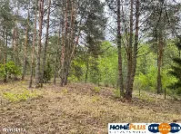Działka w lesie 2064 m² - letniskowa i całoroczna — zdjęcie 4