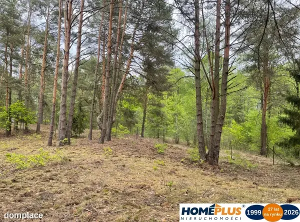 Działka w lesie 2064 m² - letniskowa i całoroczna — zdjęcie 4