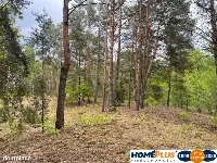 Działka w lesie 2064 m² - letniskowa i całoroczna — zdjęcie 2
