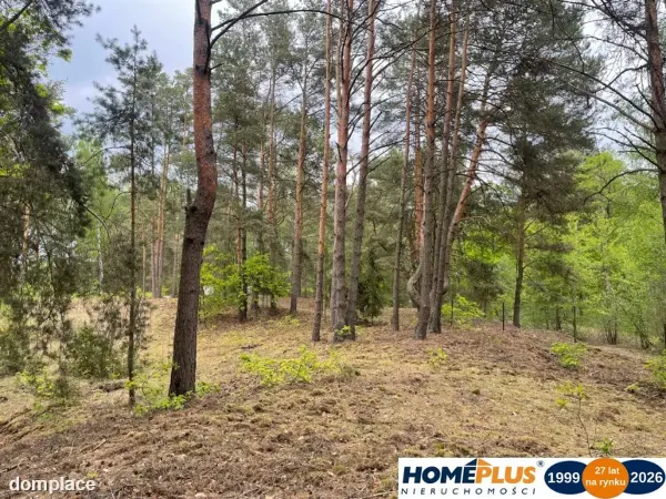 Działka w lesie 2064 m² - letniskowa i całoroczna — zdjęcie 2