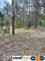 Działka w lesie 2064 m² - letniskowa i całoroczna — zdjęcie 6