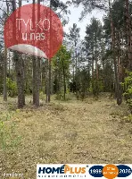 Działka w lesie 2064 m² - letniskowa i całoroczna — zdjęcie 1