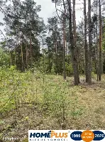 Działka w lesie 2064 m² - letniskowa i całoroczna — zdjęcie 5