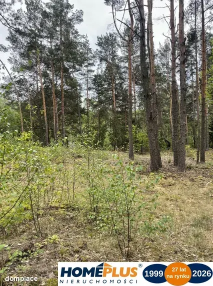 Działka w lesie 2064 m² - letniskowa i całoroczna — zdjęcie 5