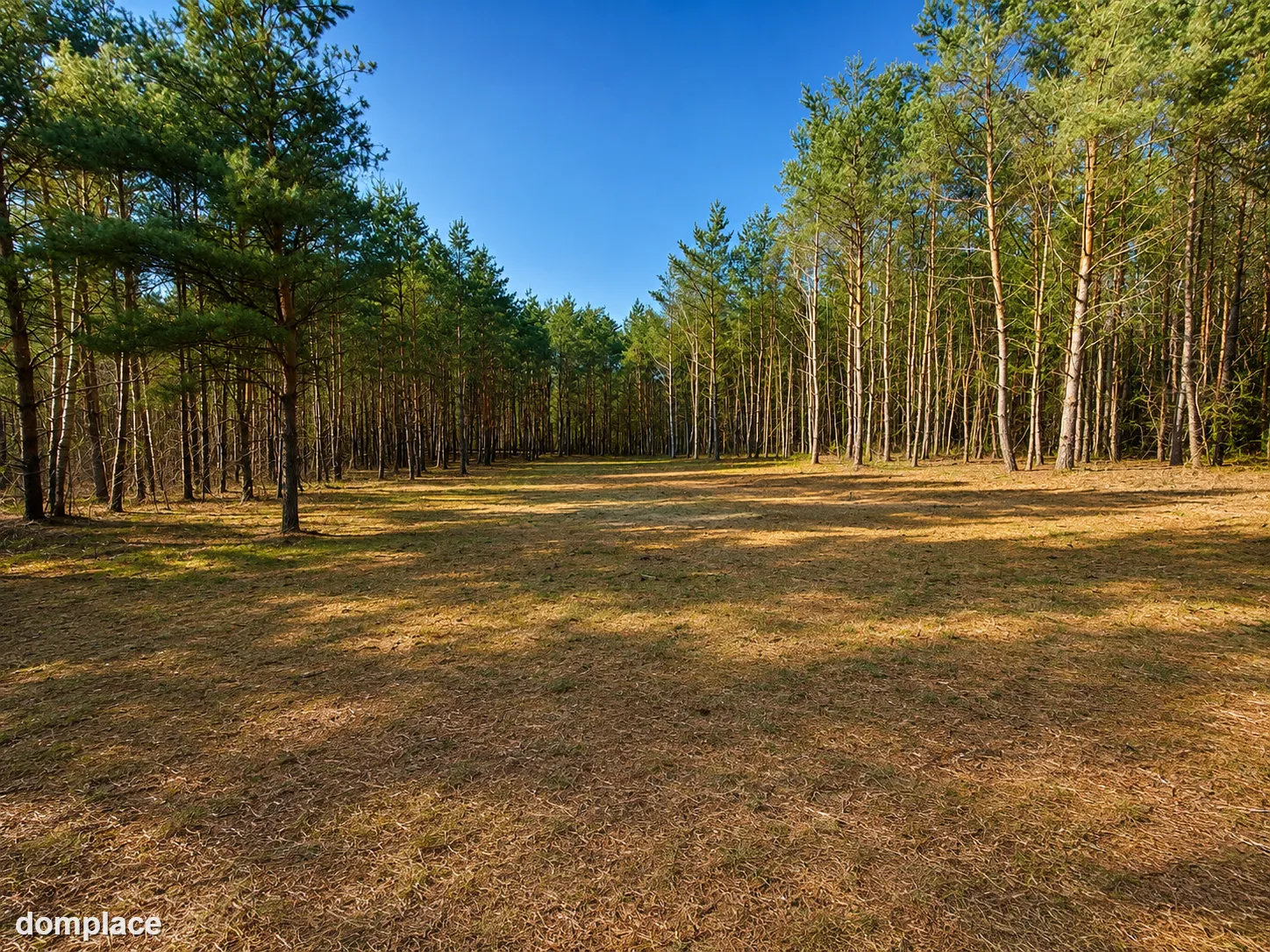 Działka budowlana 2559 m² w Karczewku, gmina Kiszkowo | WZ | przy Parku Krajobrazowym Puszcza Zielonka — zdjęcie 2