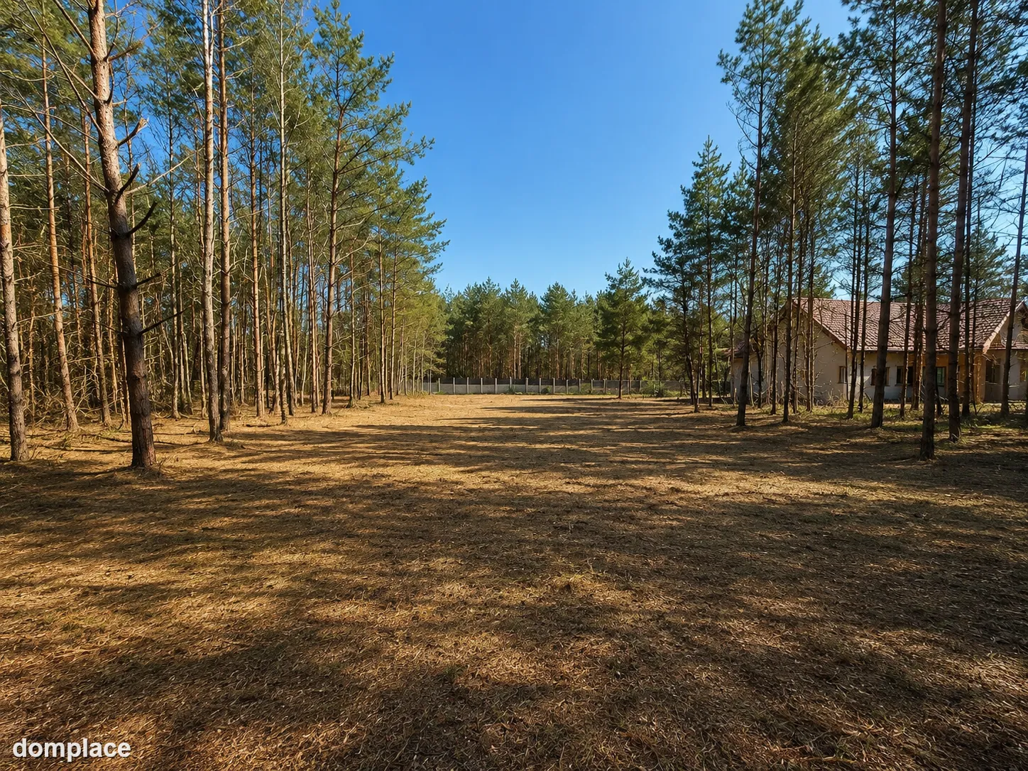 Działka budowlana 2559 m² w Karczewku, gmina Kiszkowo | WZ | przy Parku Krajobrazowym Puszcza Zielonka — zdjęcie 3