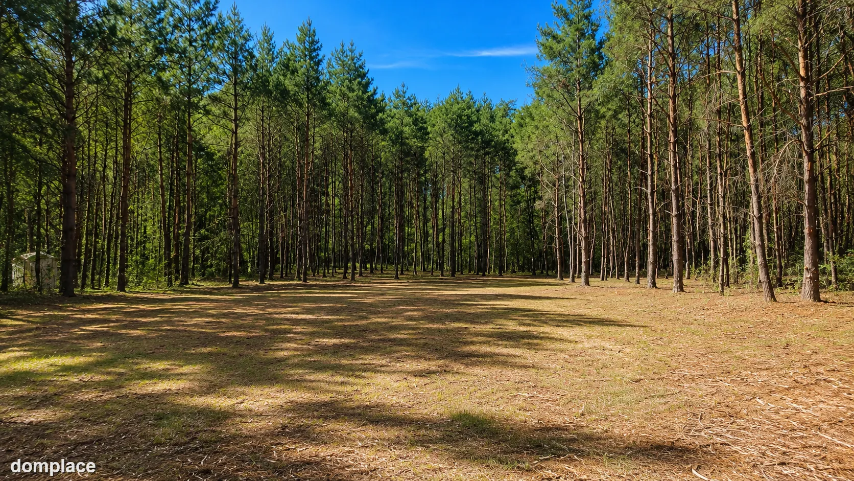 Działka budowlana 2559 m² w Karczewku, gmina Kiszkowo | WZ | przy Parku Krajobrazowym Puszcza Zielonka