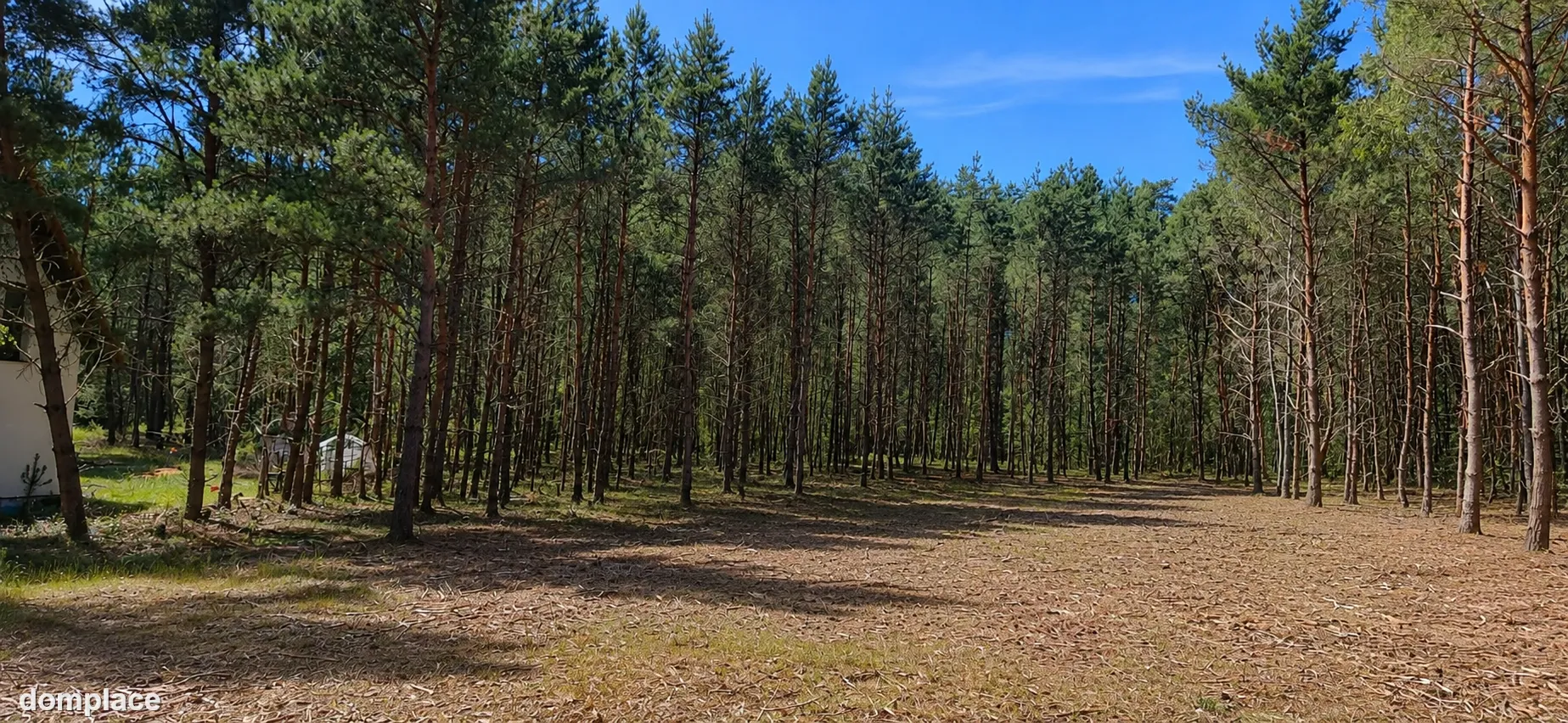 Działka budowlana 2559 m² w Karczewku, gmina Kiszkowo | WZ | przy Parku Krajobrazowym Puszcza Zielonka — zdjęcie 4
