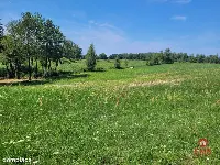 Jezioro, strefa ciszy, piękne widoki. — zdjęcie 4