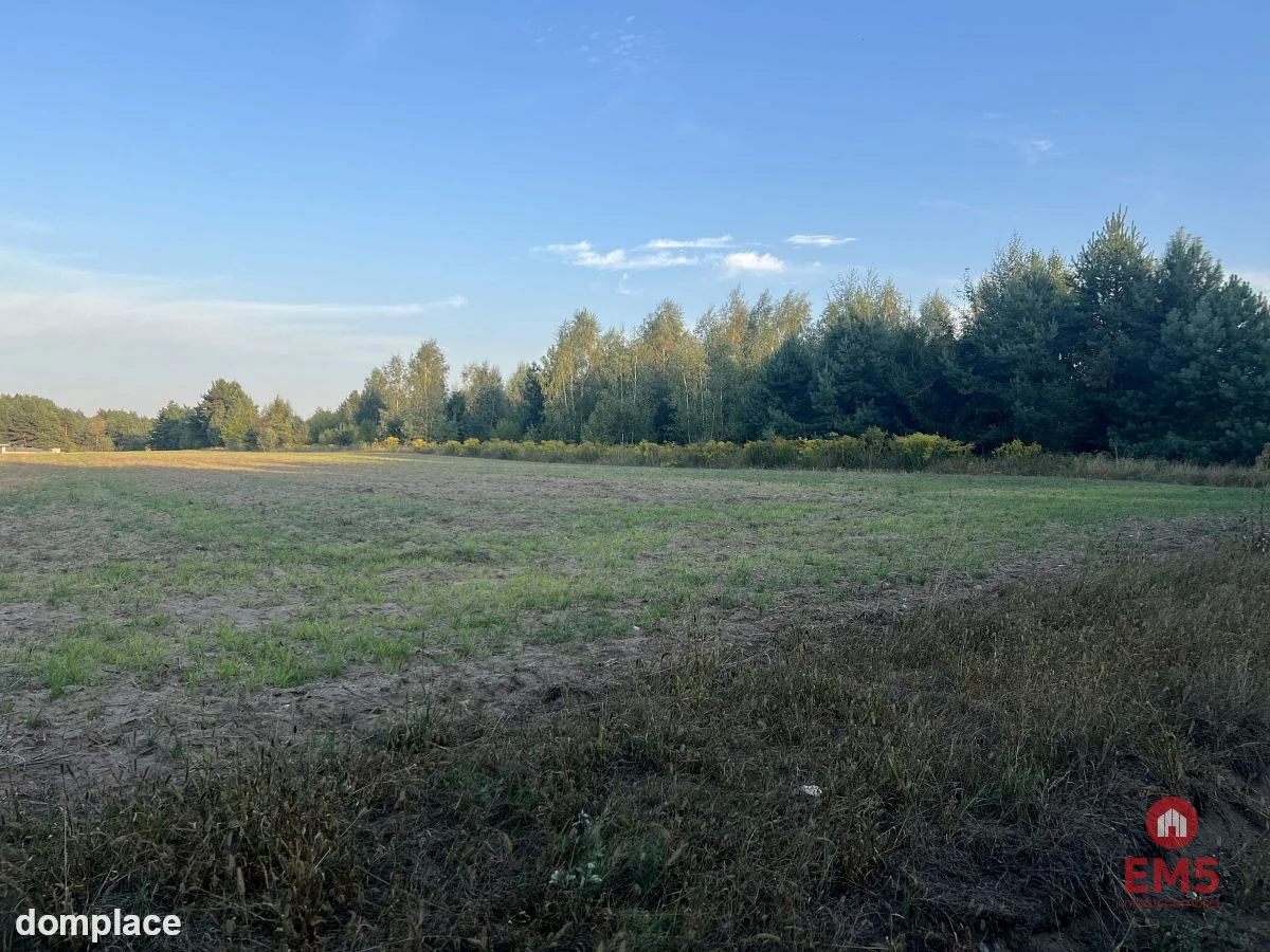 Działka rolna ok. 2 ha w gminie Czyże. — zdjęcie 3