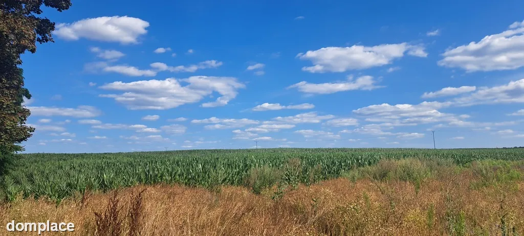 Miłków Kolonia. Piękna działka budowlana!