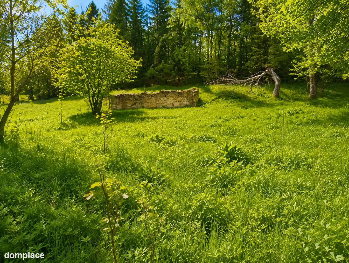 Działka — gdański, Przywidz — zdjęcie 3