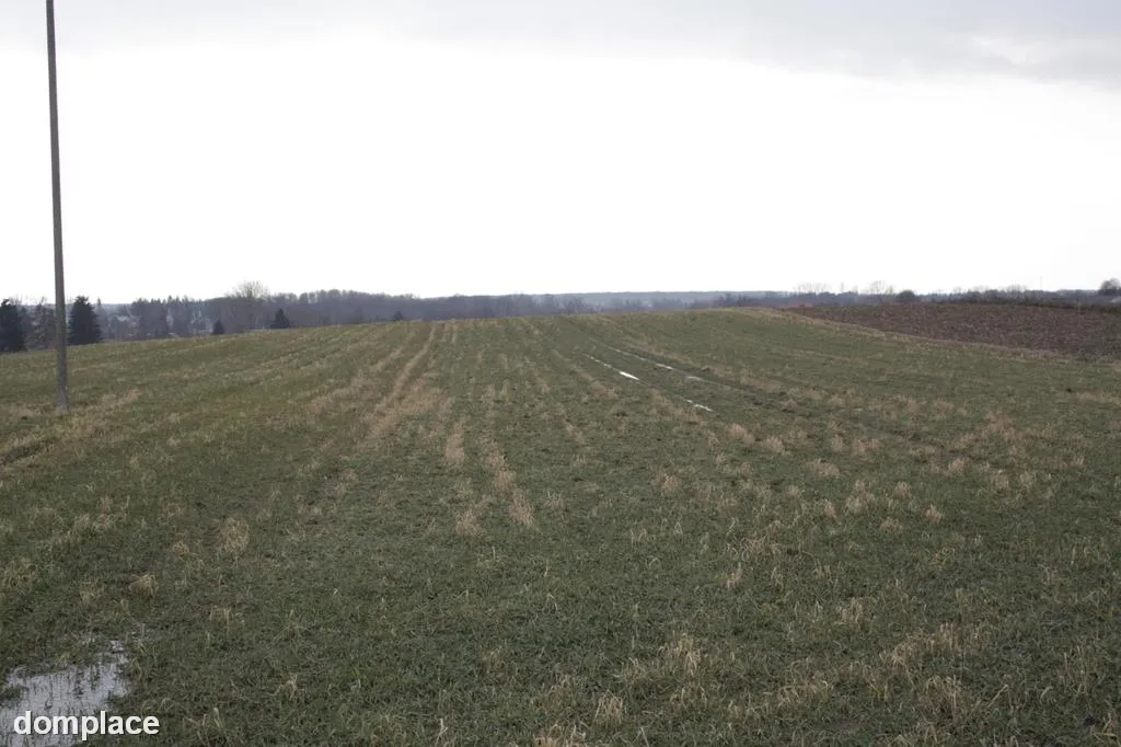 Cicha działka Tomaszowice