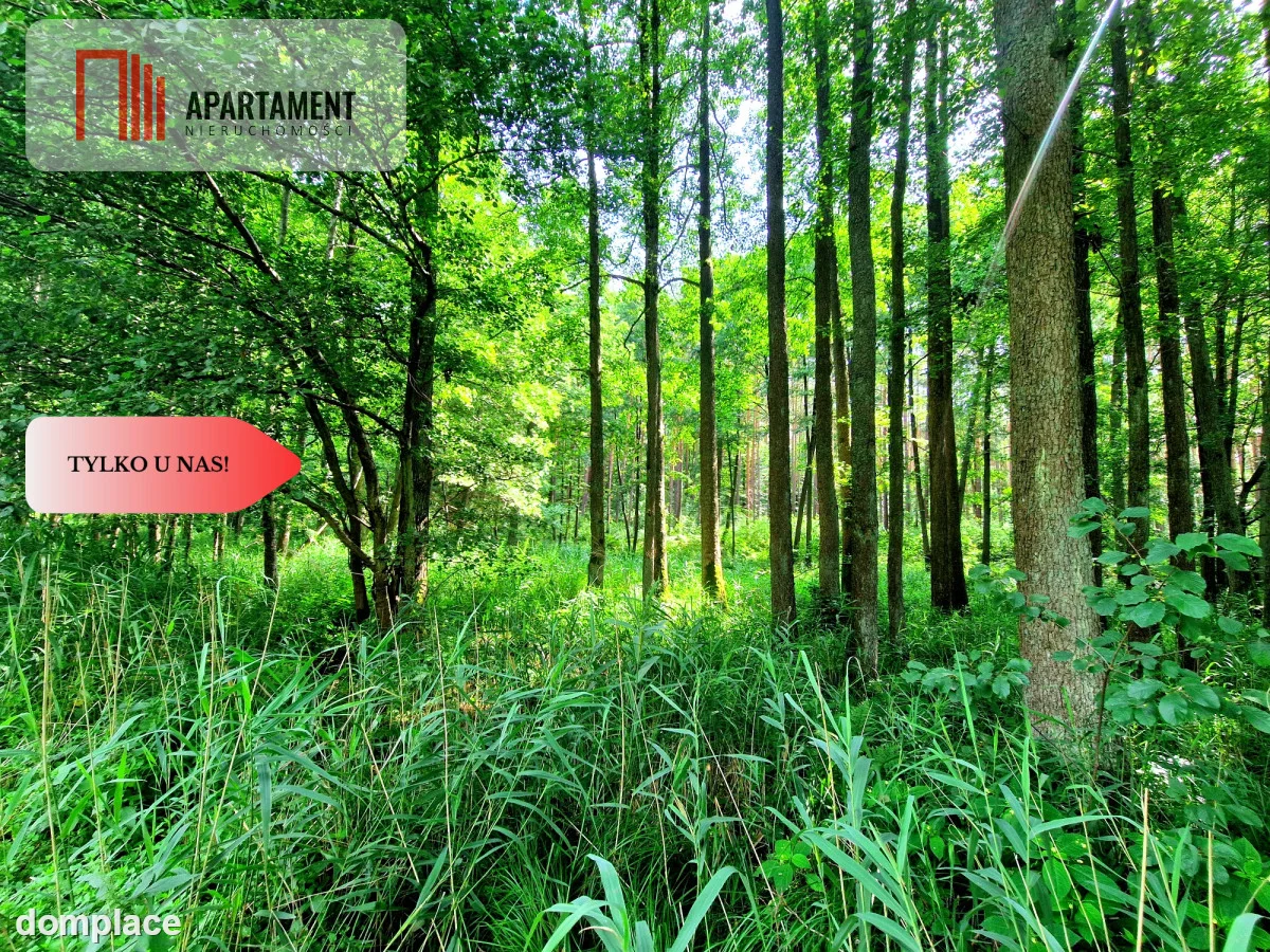 Zamieszkaj nad rzeką – wyjątkowe działki budowlane — zdjęcie 14