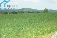 Działka — cieszyński, Ustroń — zdjęcie 7