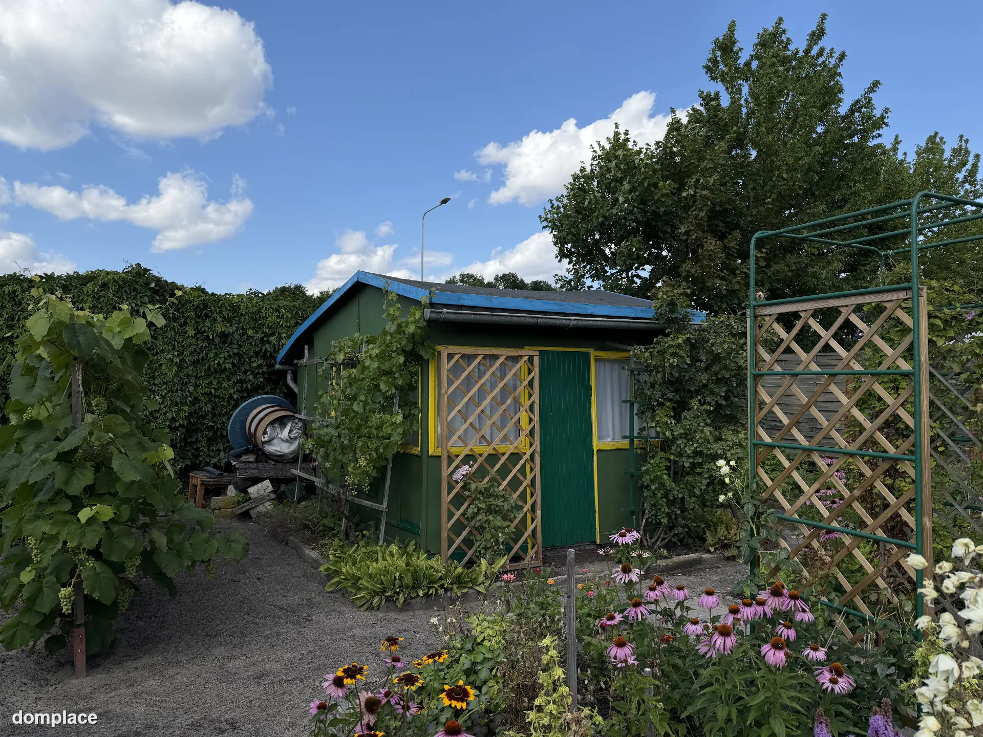 Działka rekreacyjna ROD 529 m² – z altaną, szklarnią i nasadzeniami — zdjęcie 10
