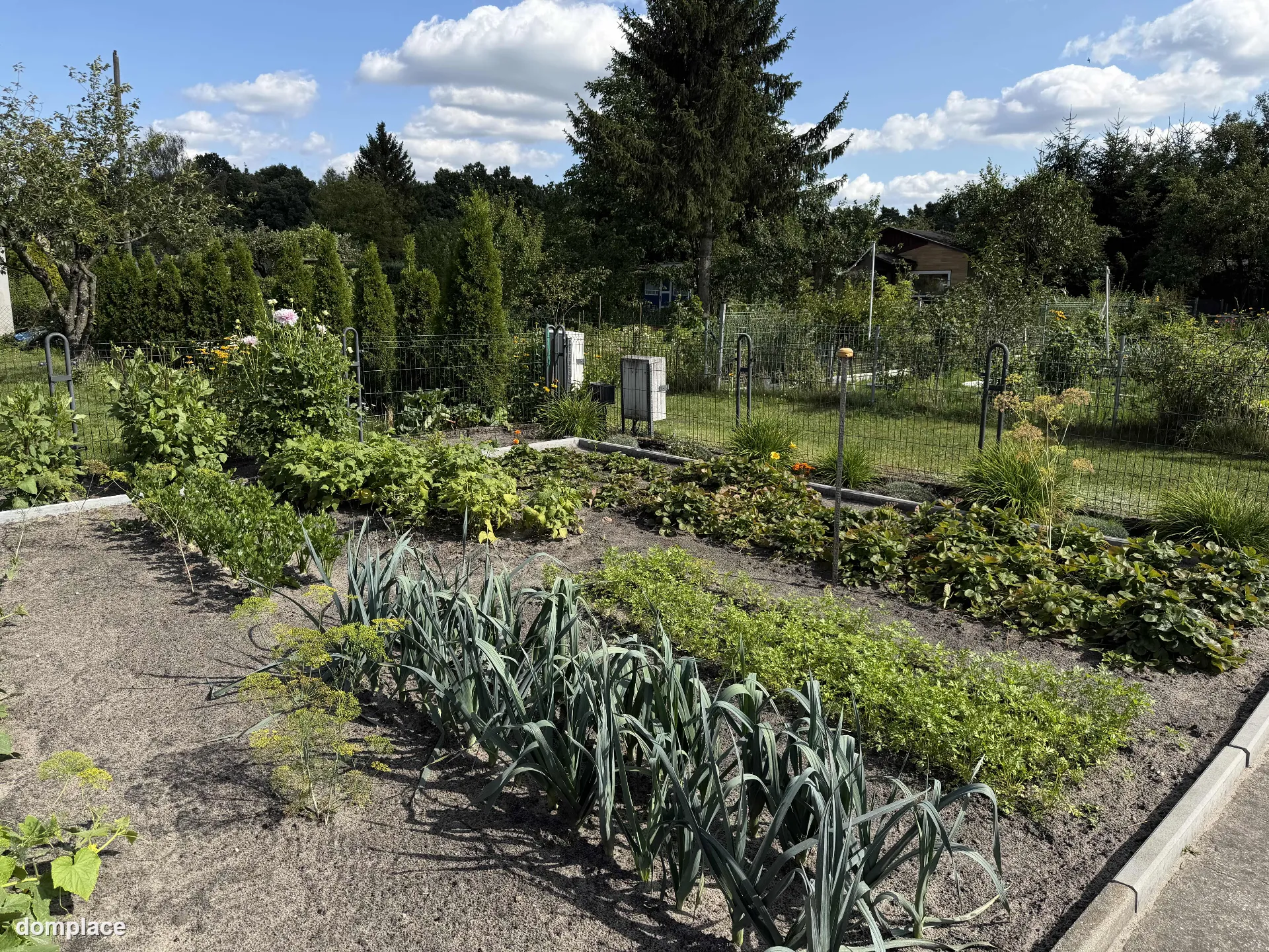 Działka rekreacyjna ROD 529 m² – z altaną, szklarnią i nasadzeniami — zdjęcie 14