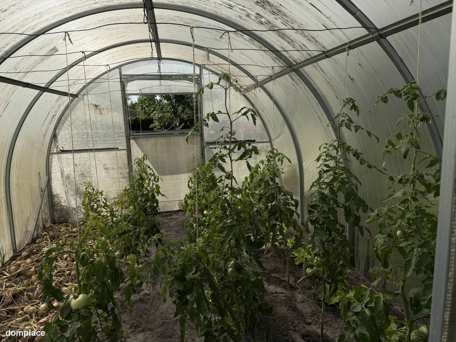 Działka rekreacyjna ROD 529 m² – z altaną, szklarnią i nasadzeniami — zdjęcie 8