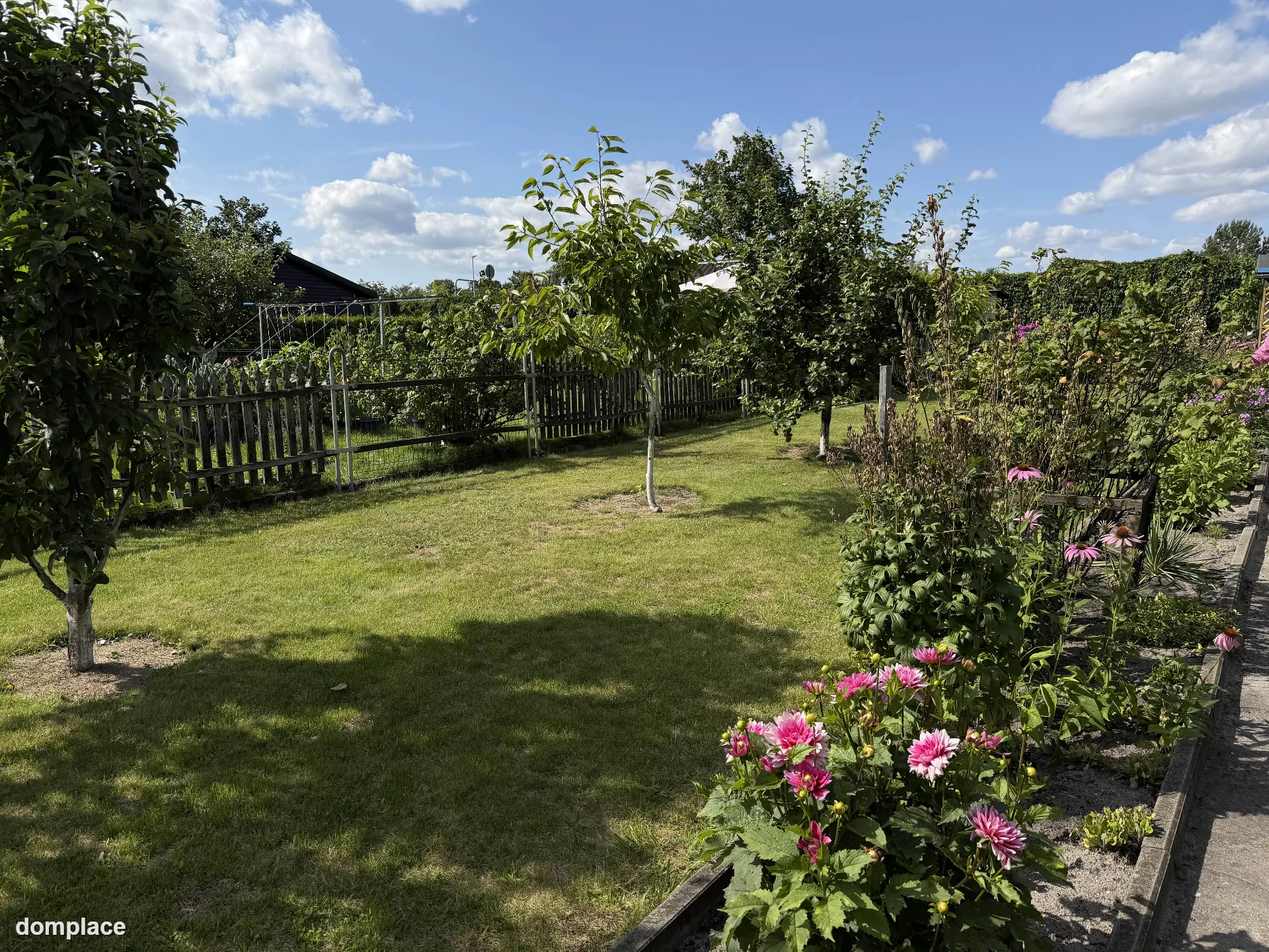 Działka rekreacyjna ROD 529 m² – z altaną, szklarnią i nasadzeniami — zdjęcie 12