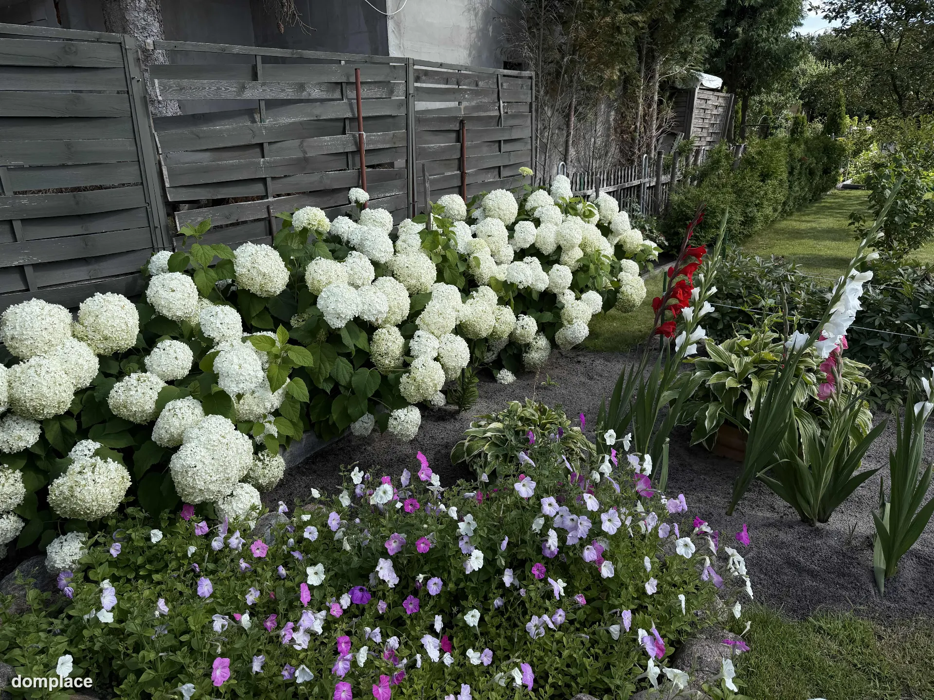 Działka rekreacyjna ROD 529 m² – z altaną, szklarnią i nasadzeniami — zdjęcie 19