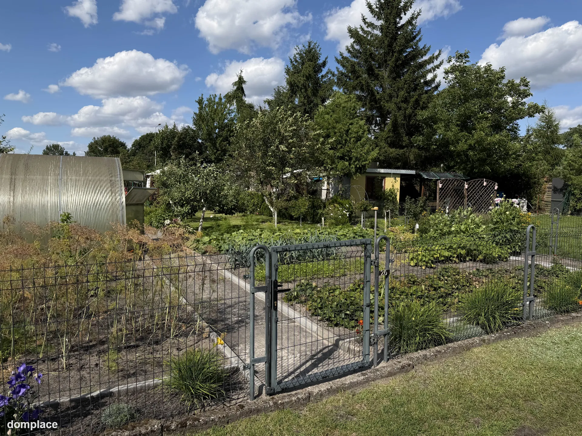 Działka rekreacyjna ROD 529 m² – z altaną, szklarnią i nasadzeniami — zdjęcie 18