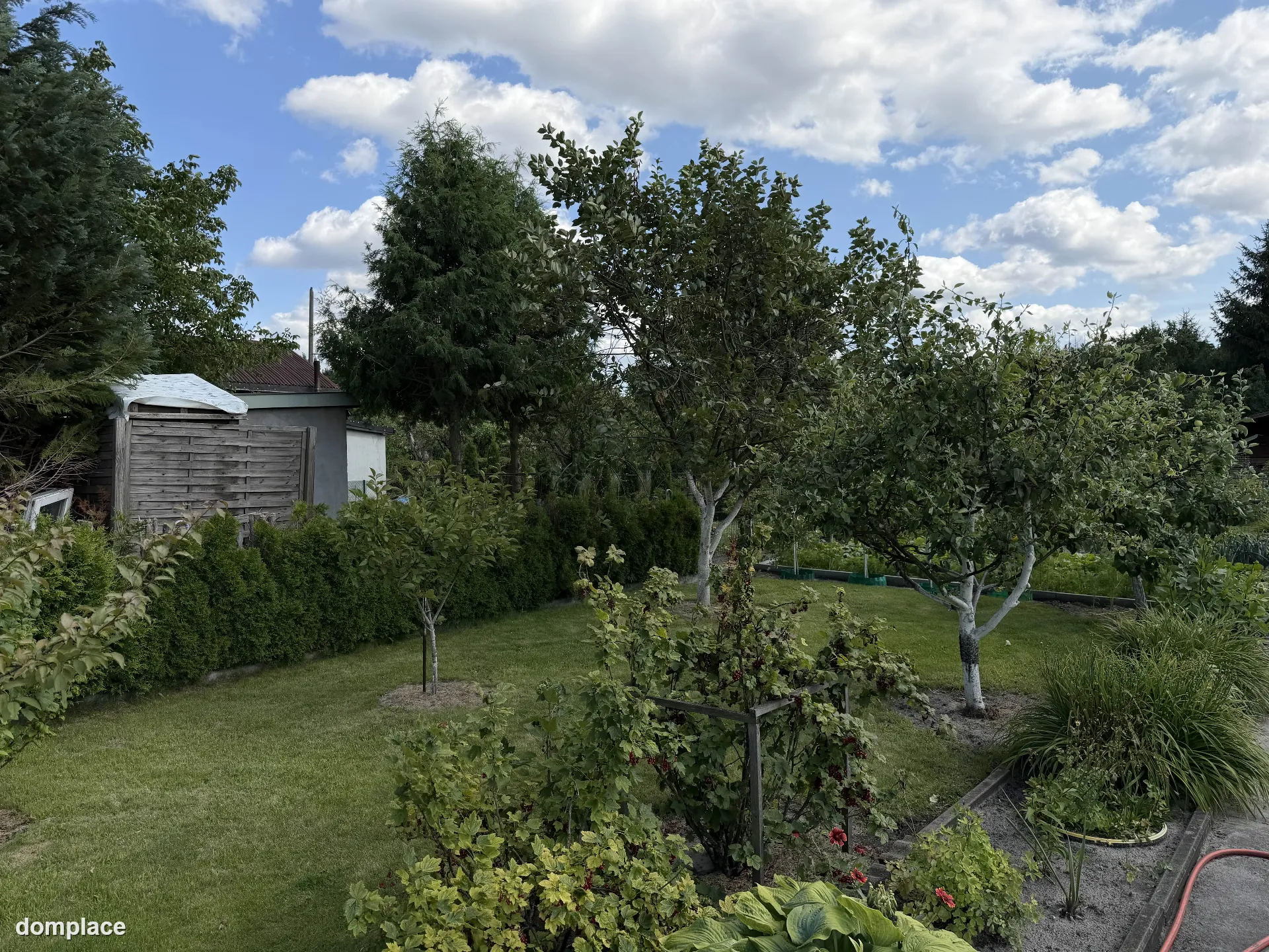 Działka rekreacyjna ROD 529 m² – z altaną, szklarnią i nasadzeniami — zdjęcie 16