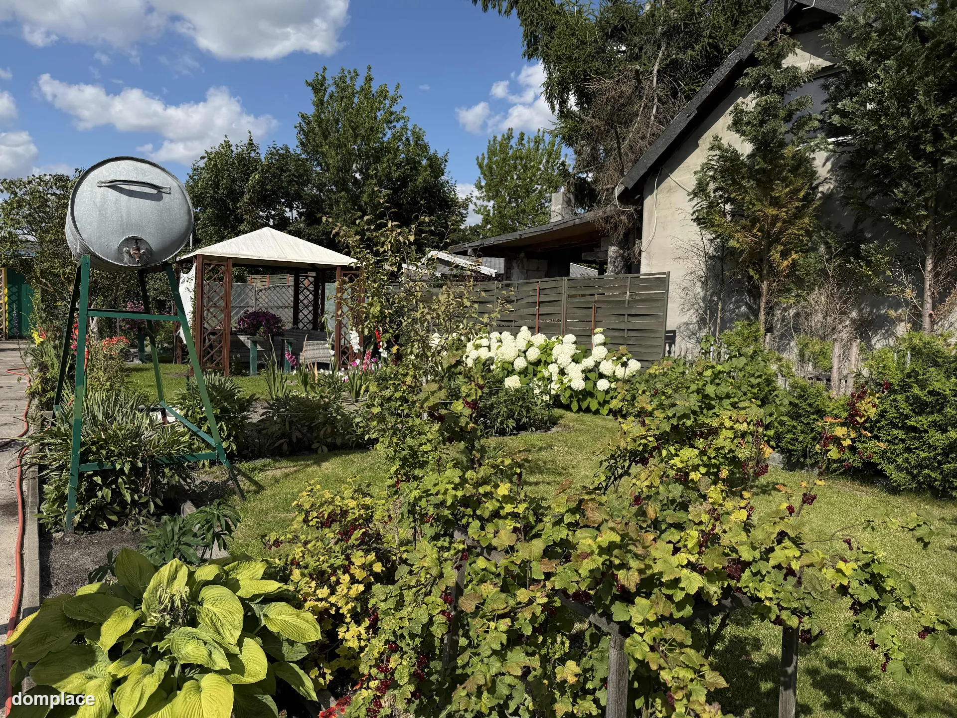 Działka rekreacyjna ROD 529 m² – z altaną, szklarnią i nasadzeniami — zdjęcie 7