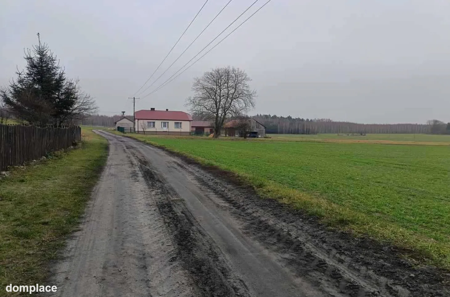 Bachus 9 - Gospodarstwo 9,06 ha (90 600 m²) z budynkami oraz maszynami rolniczymi — zdjęcie 9