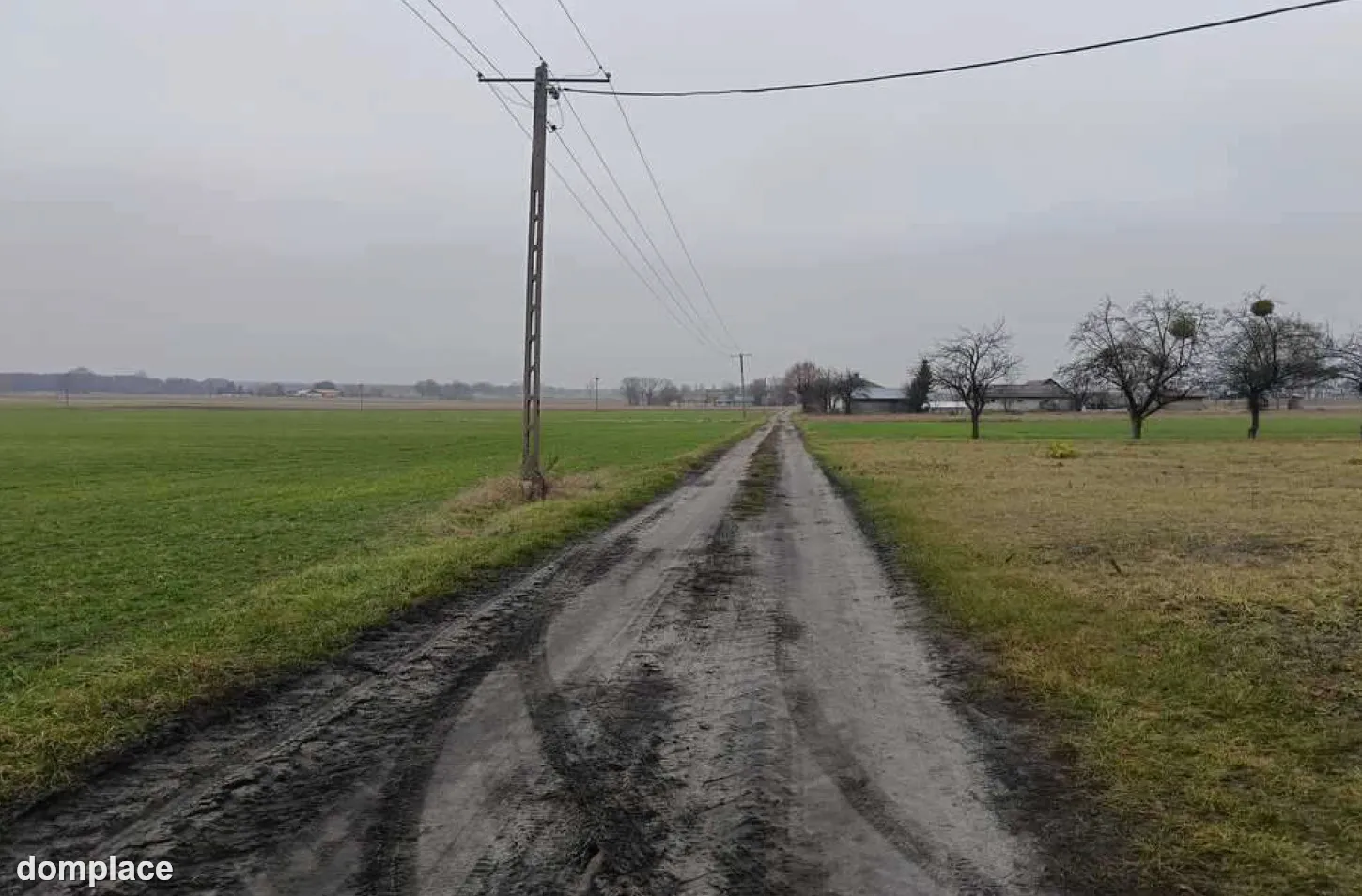 Bachus 9 - Gospodarstwo 9,06 ha (90 600 m²) z budynkami oraz maszynami rolniczymi — zdjęcie 10
