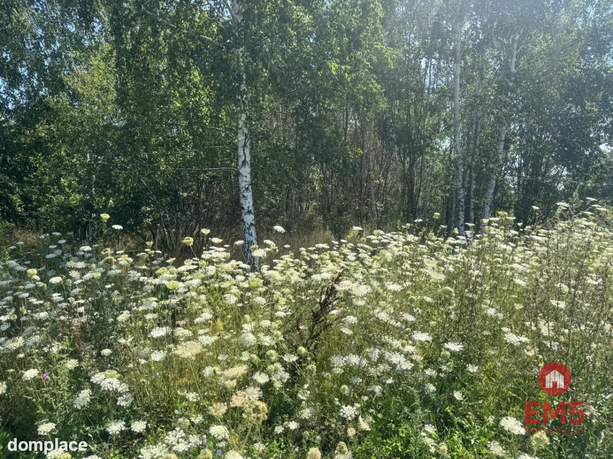 Działka W Halickie — zdjęcie 5