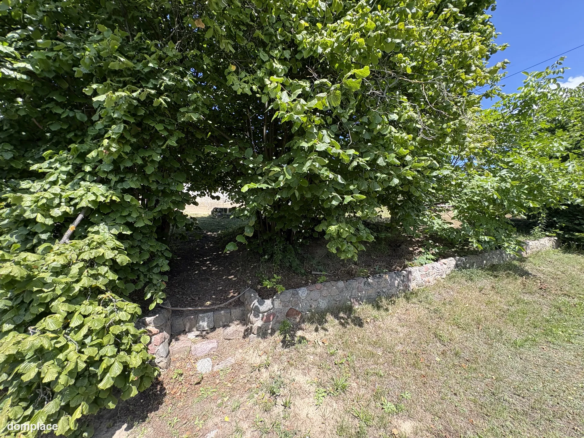 Odstąpię prawo do działki ROD "Podmiejska" o powierzchni 368 m², przygotowanej pod budowę domku letniskowego lub altany. — zdjęcie 8