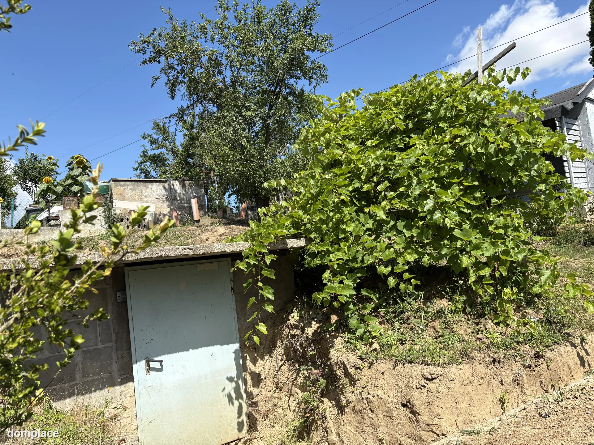 Odstąpię prawo do działki ROD "Podmiejska" o powierzchni 368 m², przygotowanej pod budowę domku letniskowego lub altany. — zdjęcie 6